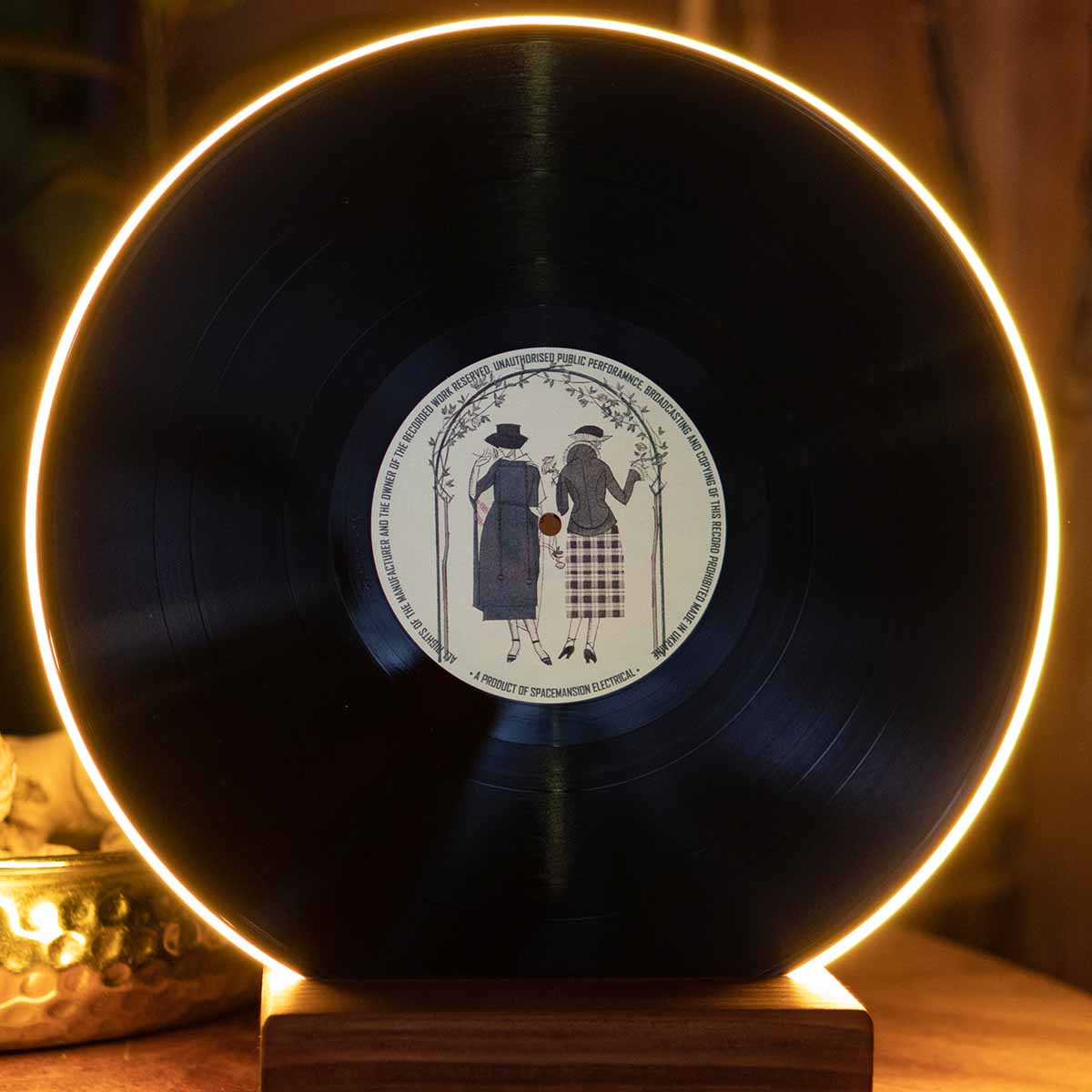 Vinyl Record Lamp - Art collection