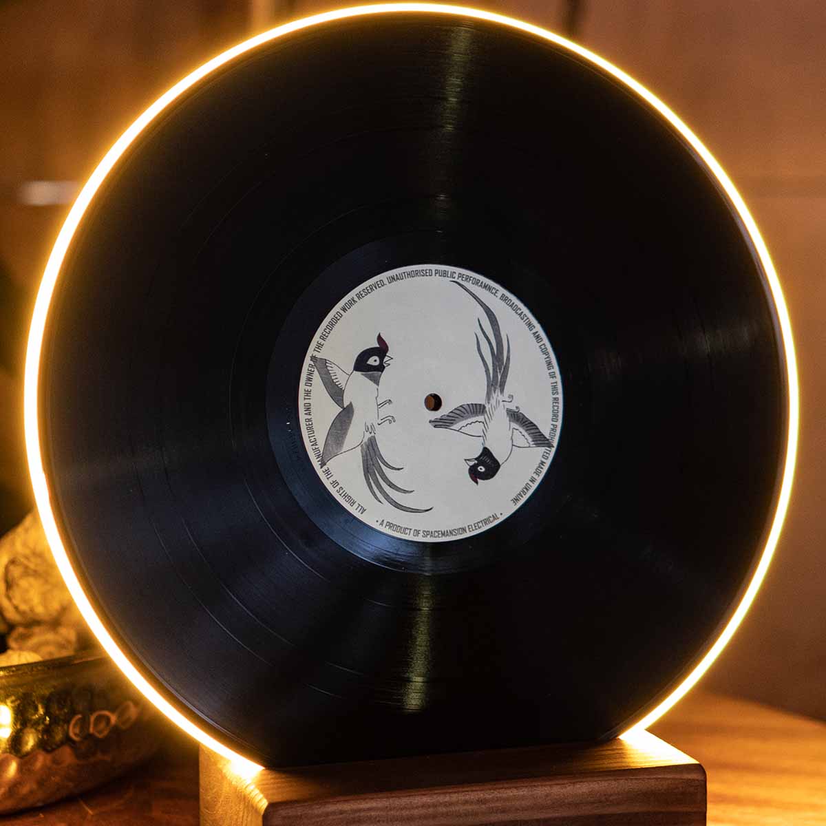 Vinyl Record Lamp - Art collection
