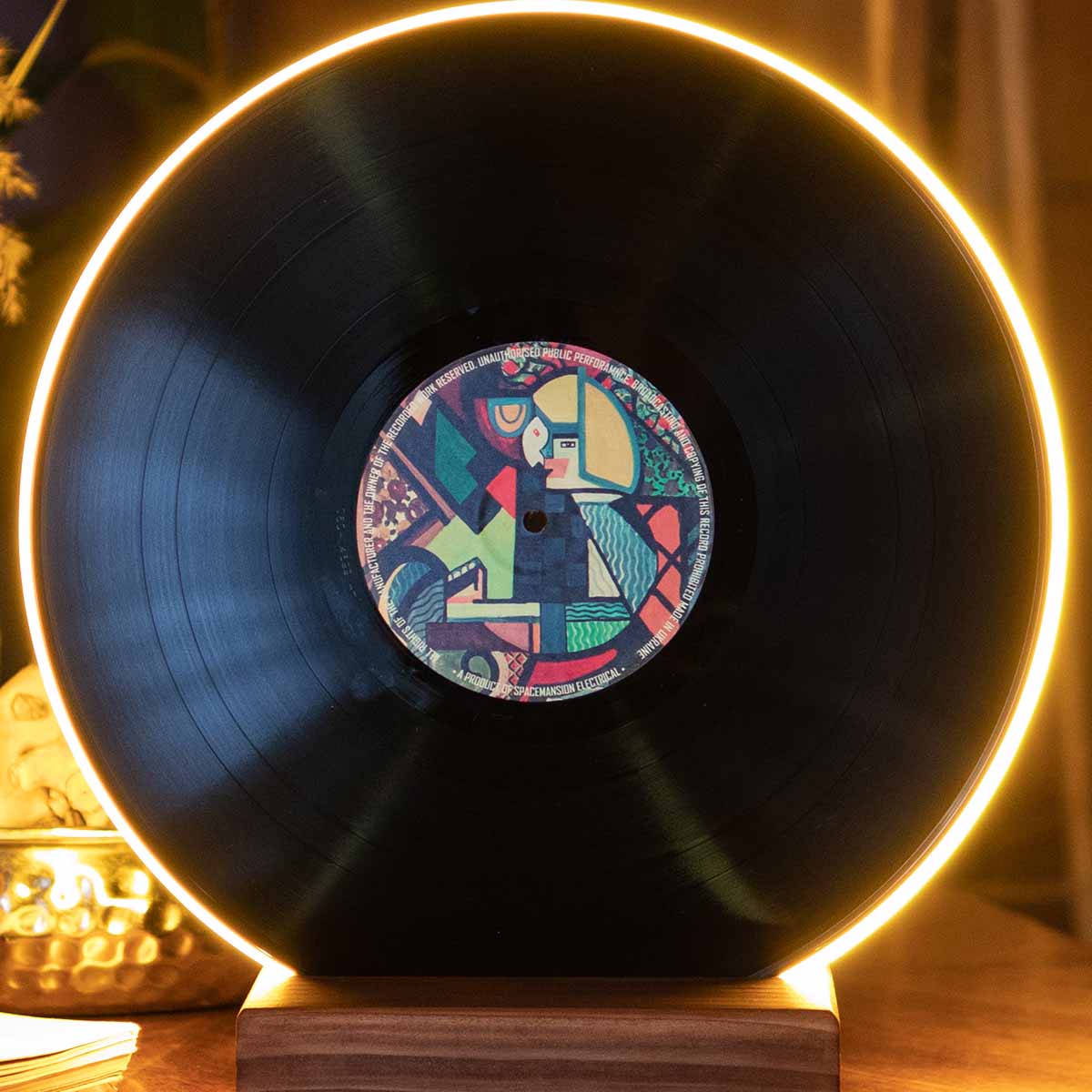Vinyl Record Lamp - Art collection