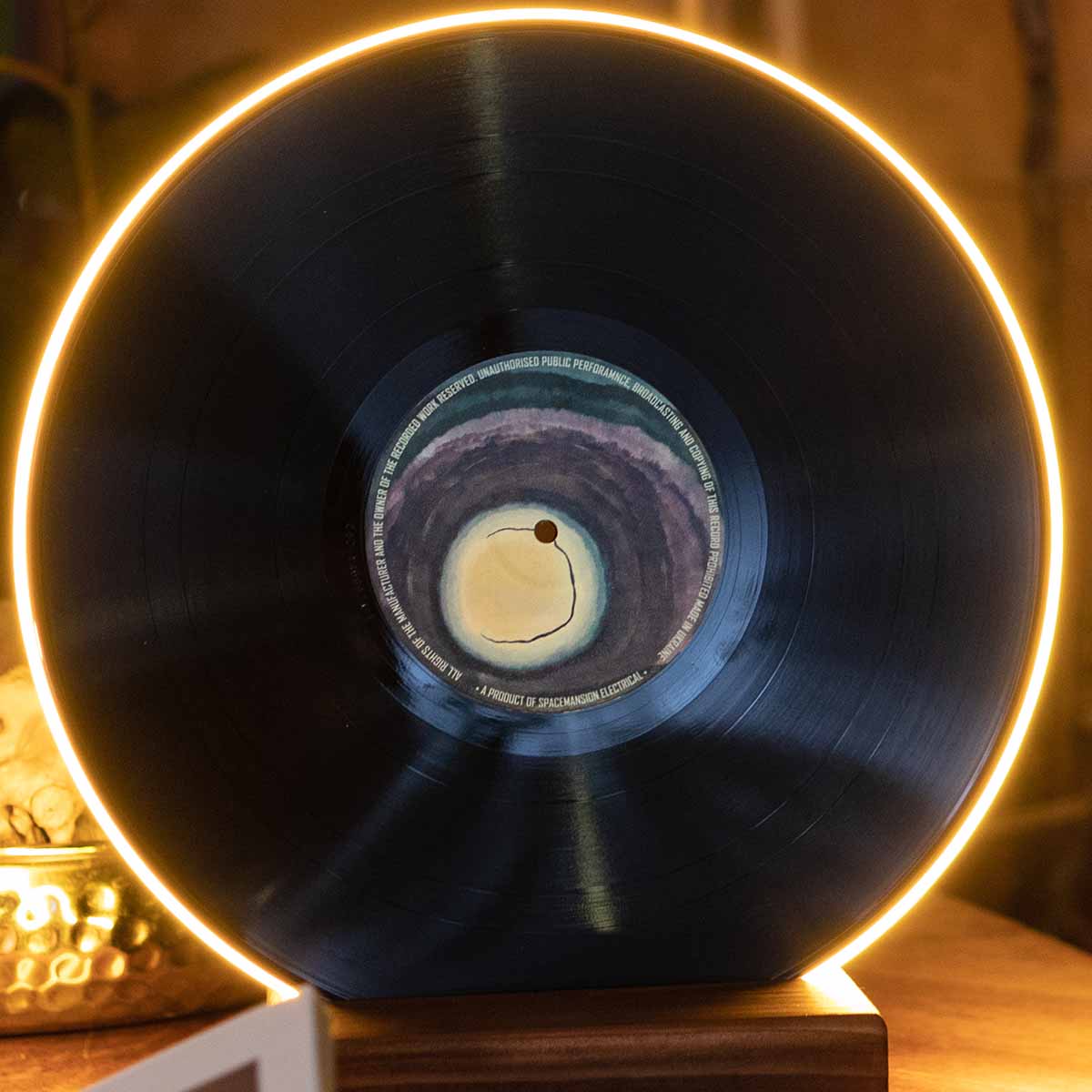 Vinyl Record Lamp - Art collection