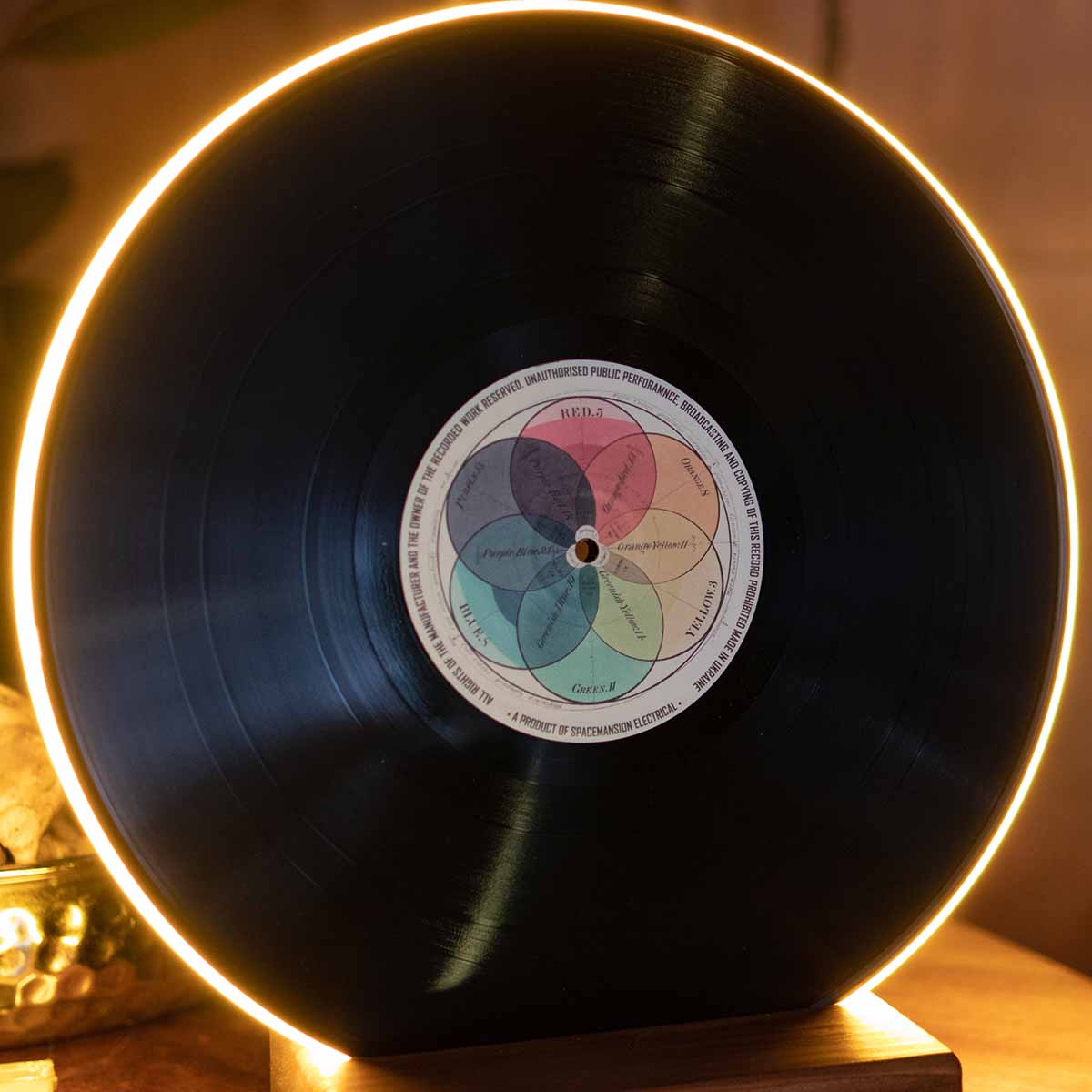 Vinyl Record Lamp - Art collection