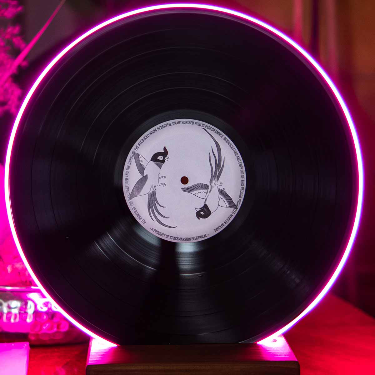Vinyl Record Lamp - Art collection