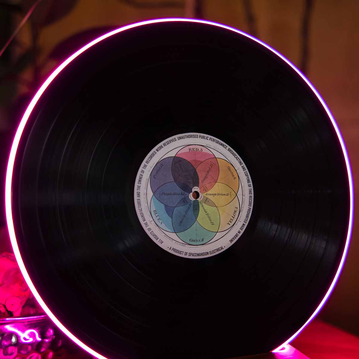 Vinyl Record Lamp - Art collection