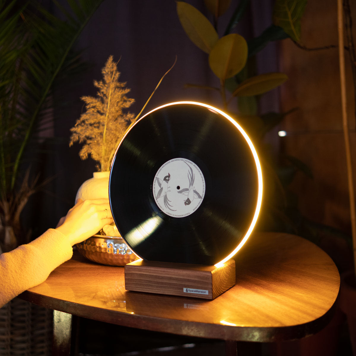 Vinyl Record Lamp - Art collection