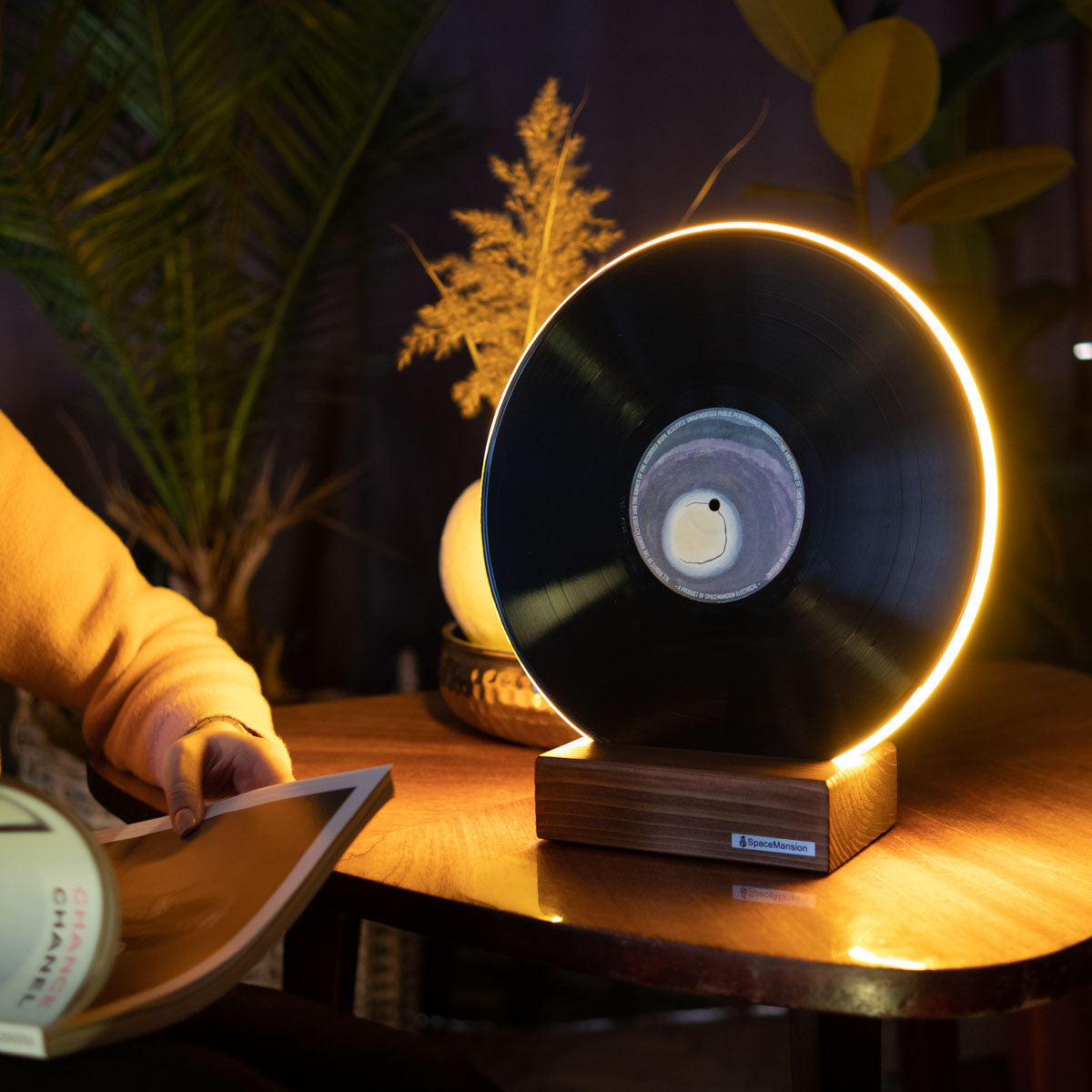 Vinyl Record Lamp - Art collection