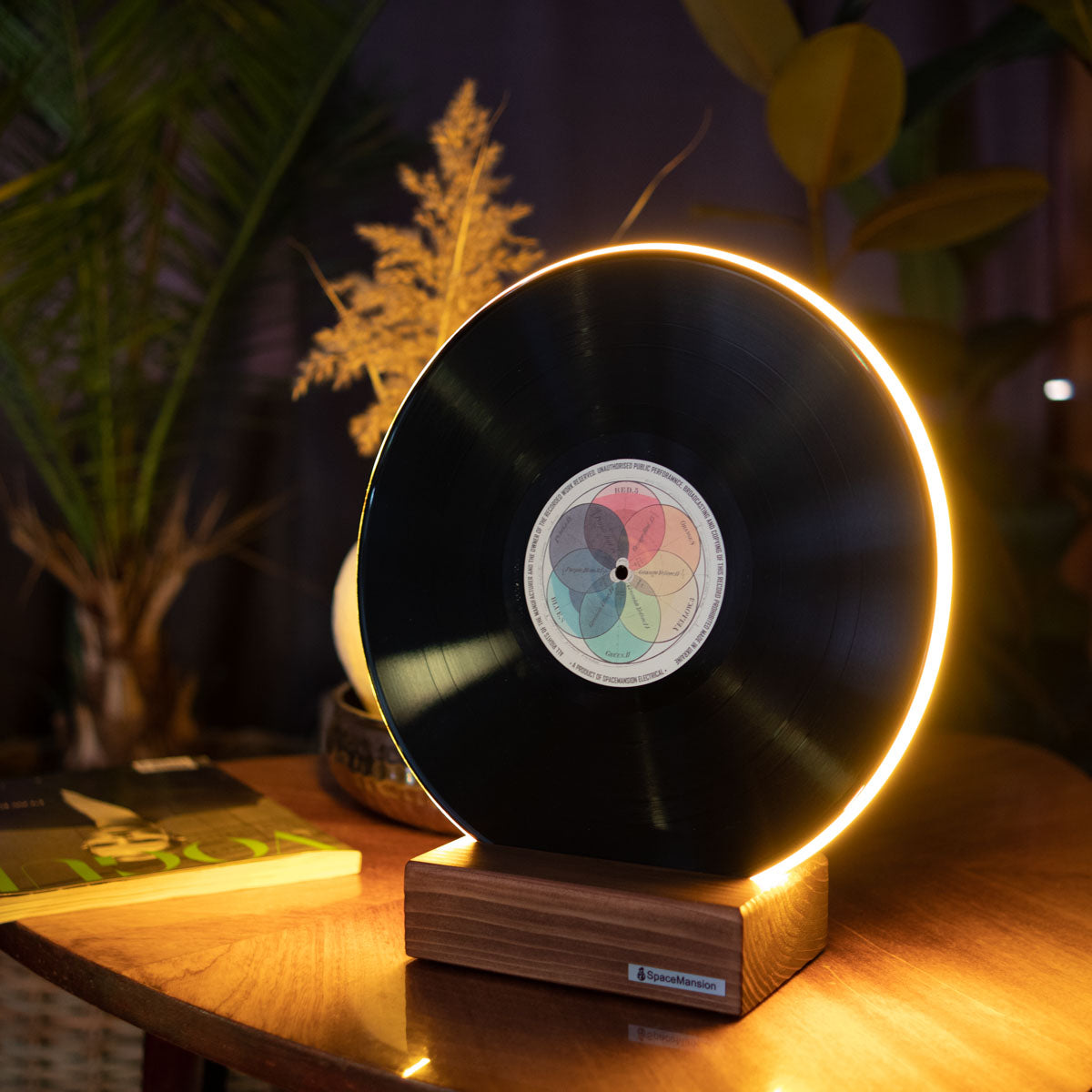 Vinyl Record Lamp - Art collection