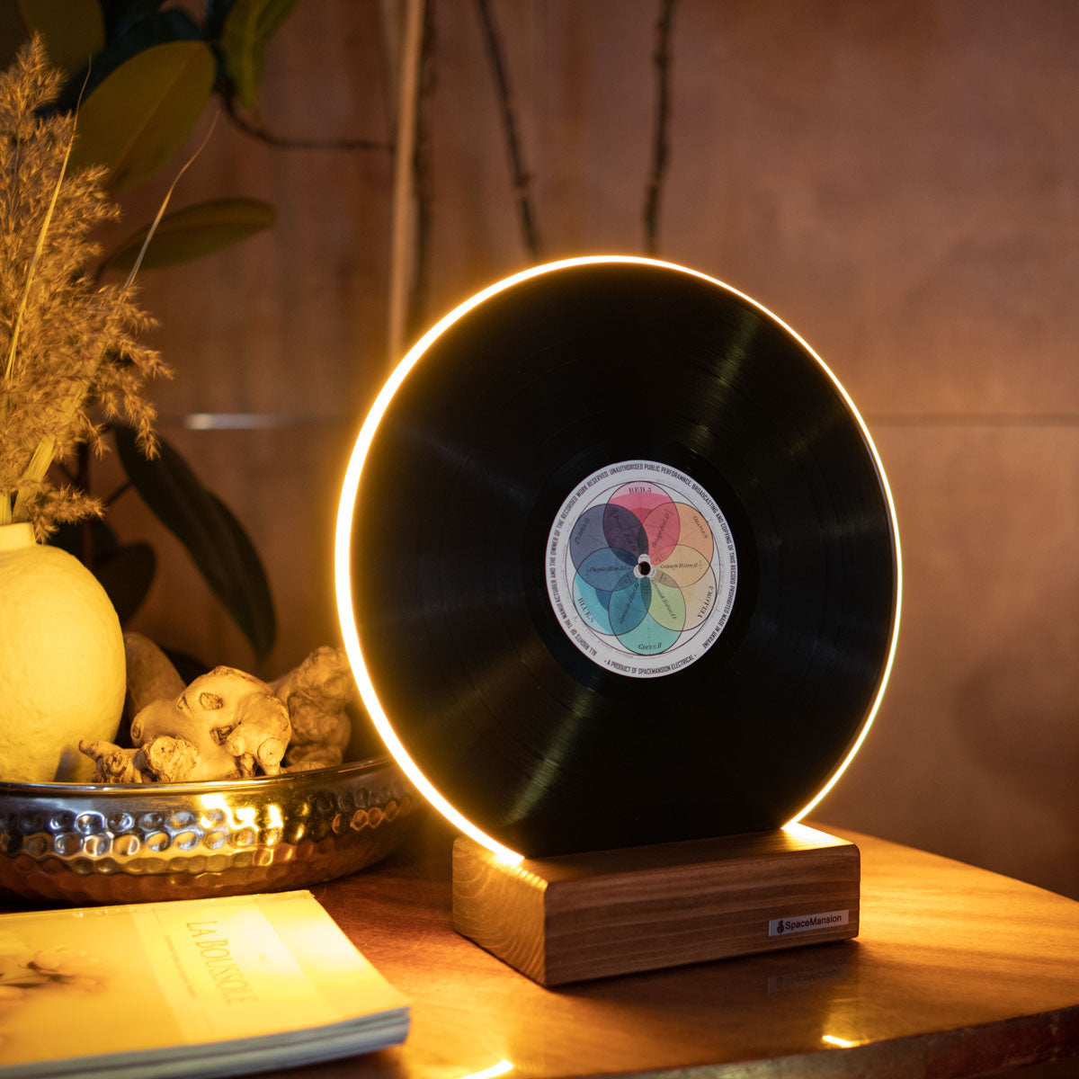 Vinyl Record Lamp - Art collection