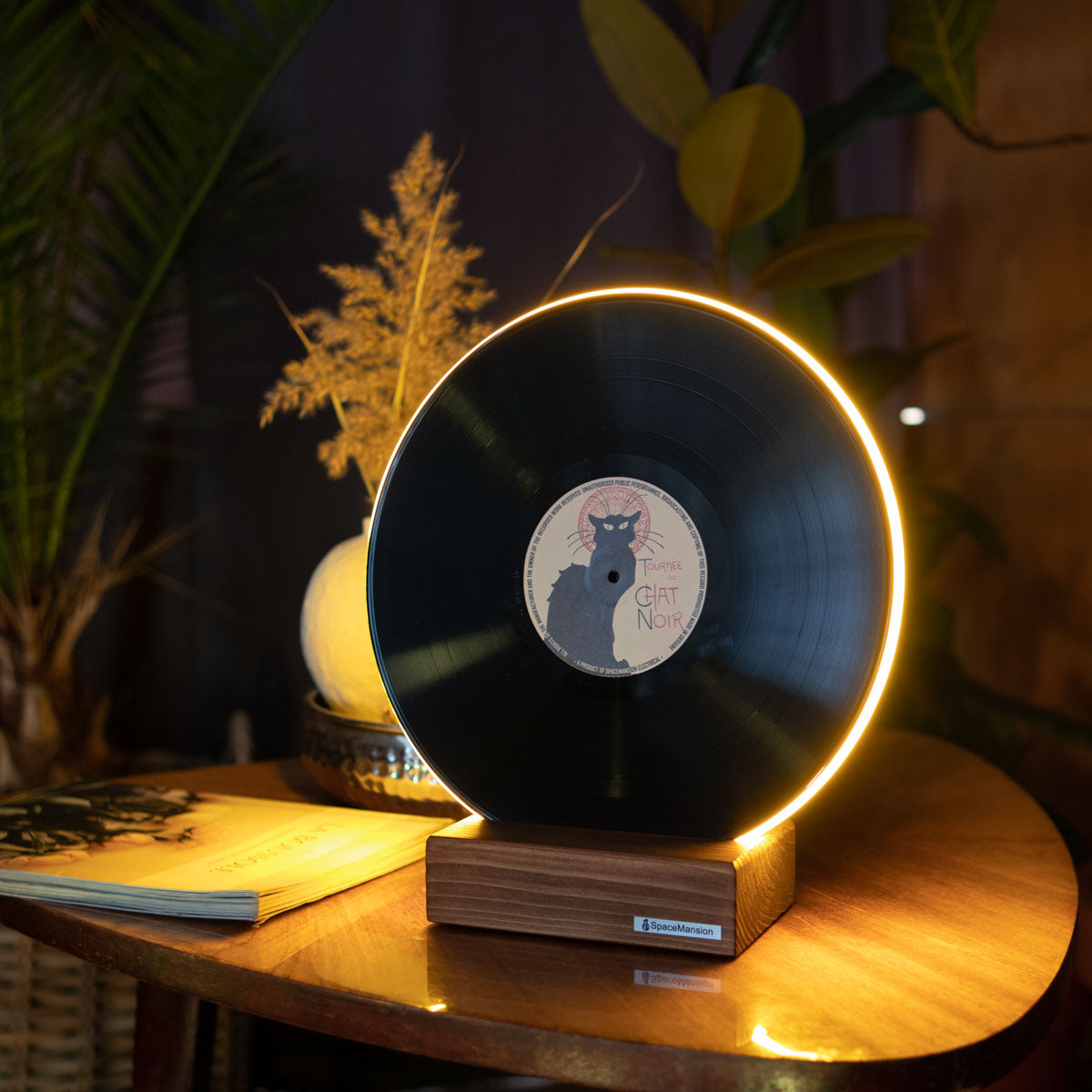 Vinyl Record Lamp - Art collection