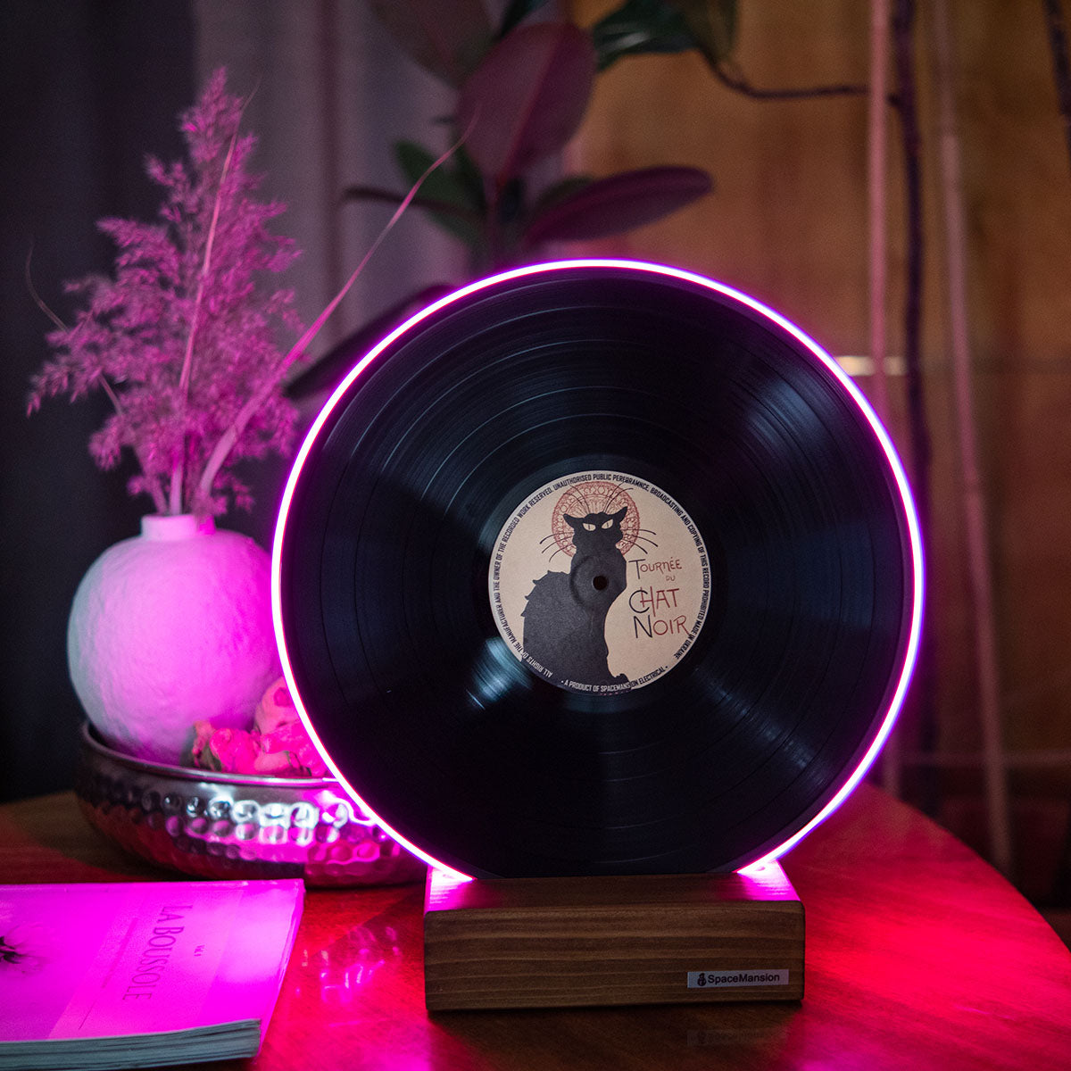 Vinyl Record Lamp - Art collection